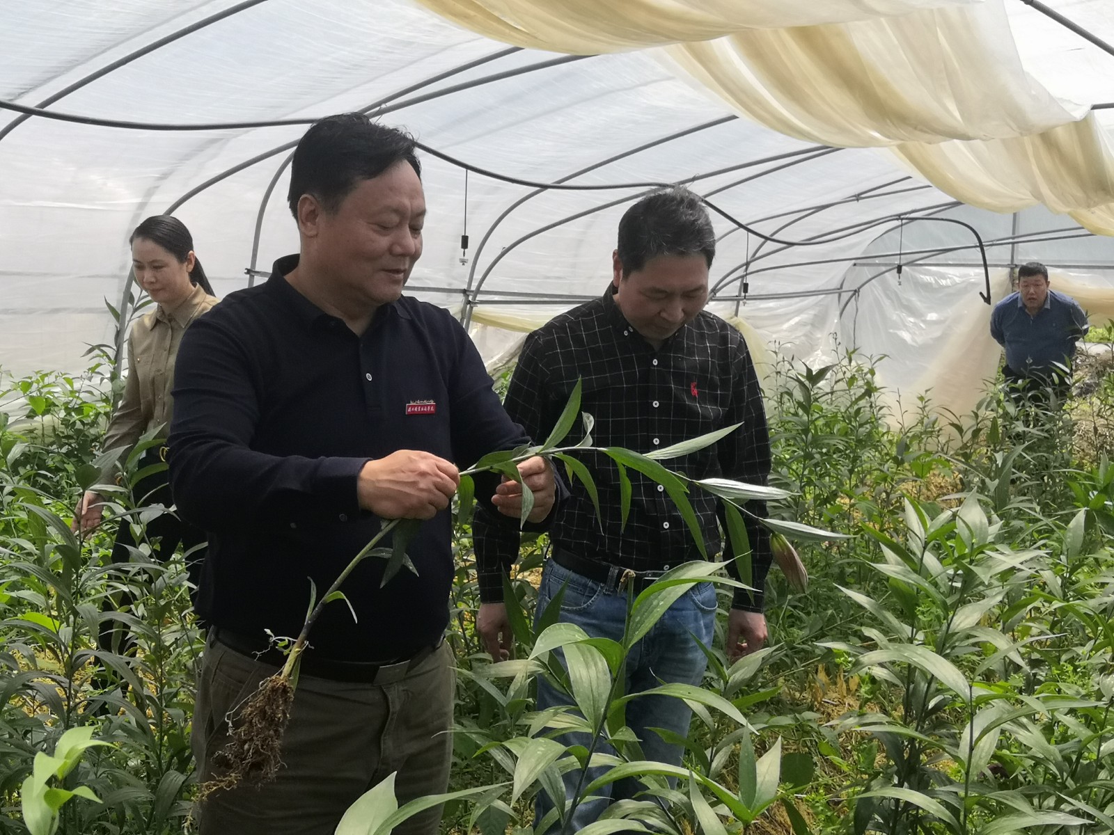 南平德元种植.jpg 南平德元种植.jpg