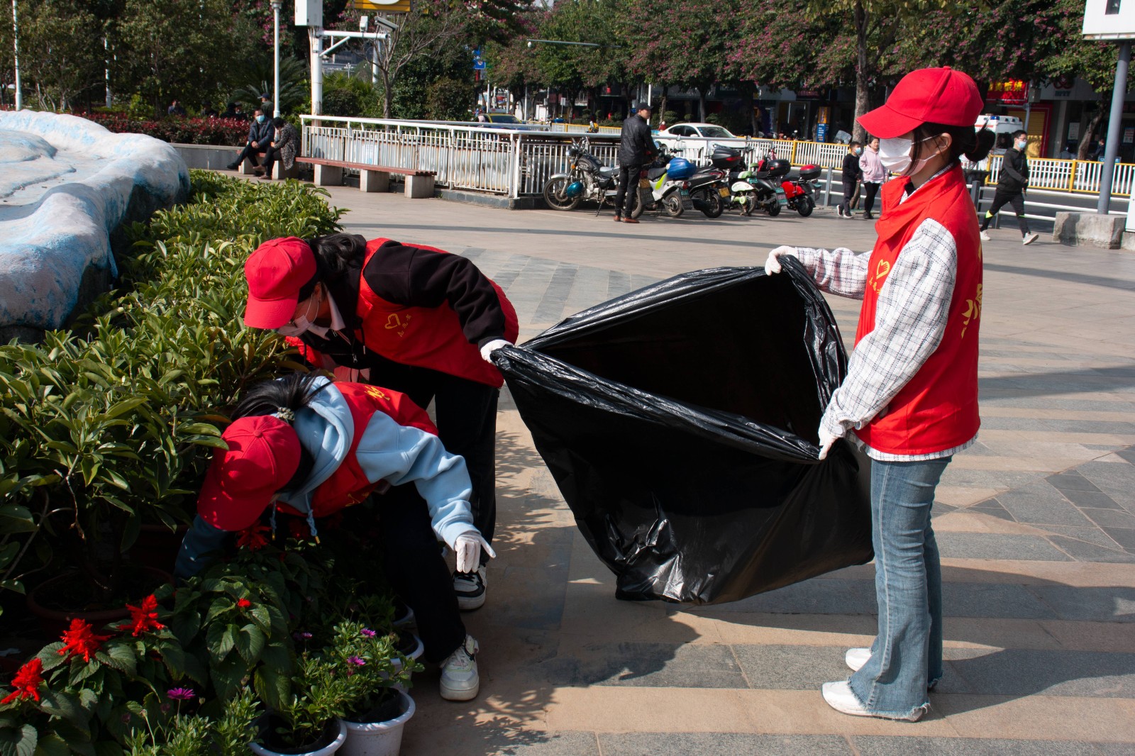 IMG_7088(1).jpg IMG_7088(1).jpg