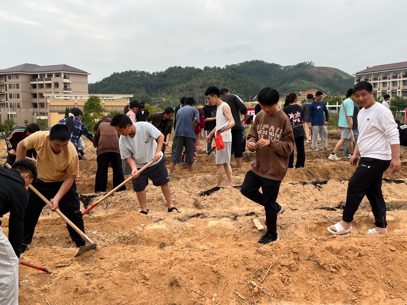 图片3.jpg 图片3.jpg