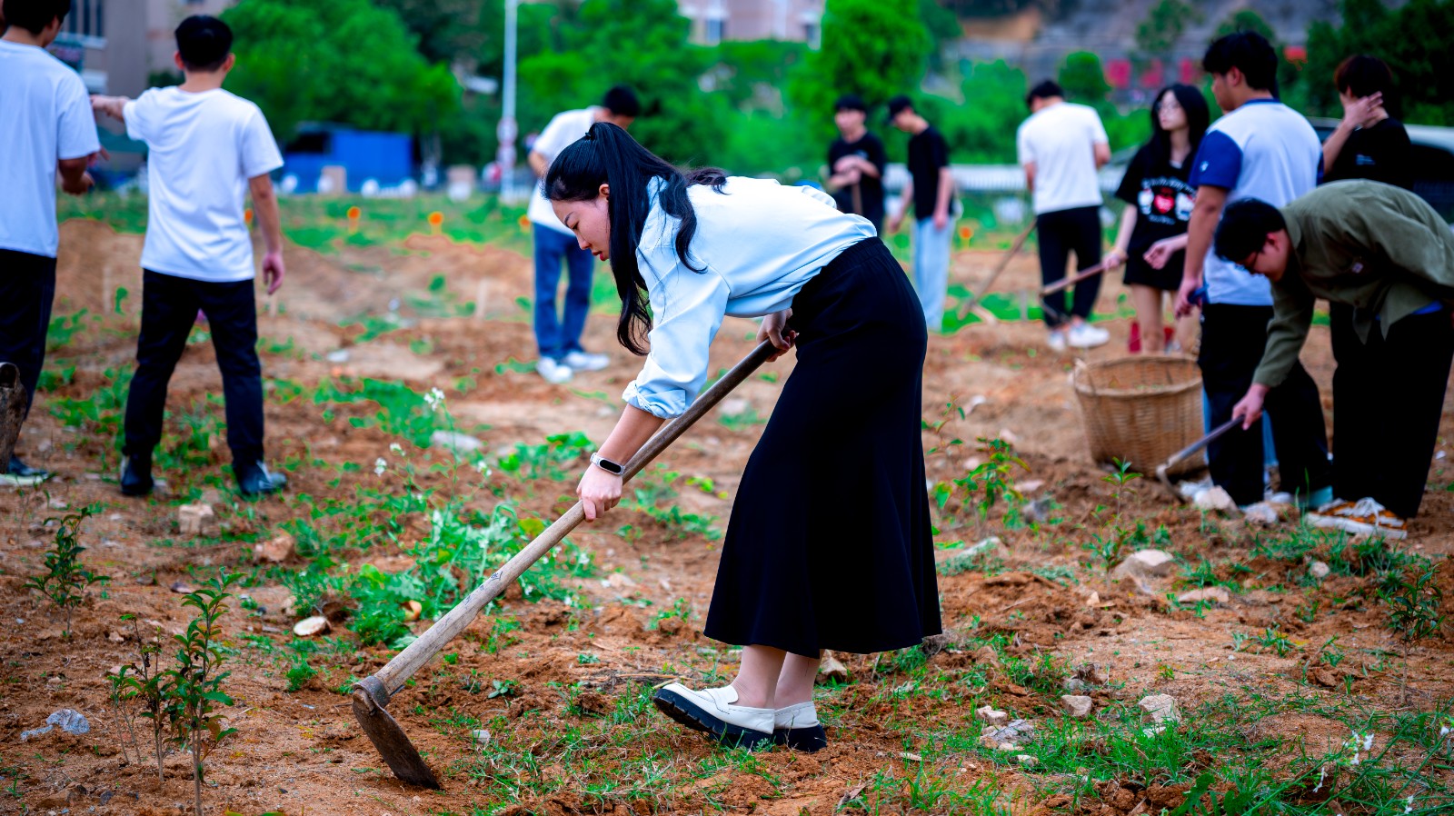 DSC_0450-已增强-降噪.jpg DSC_0450-已增强-降噪.jpg